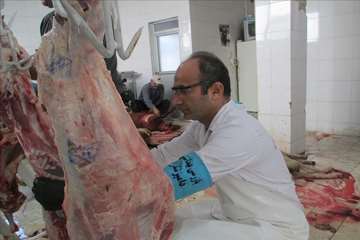 عید سعید قربان-گیلان 98